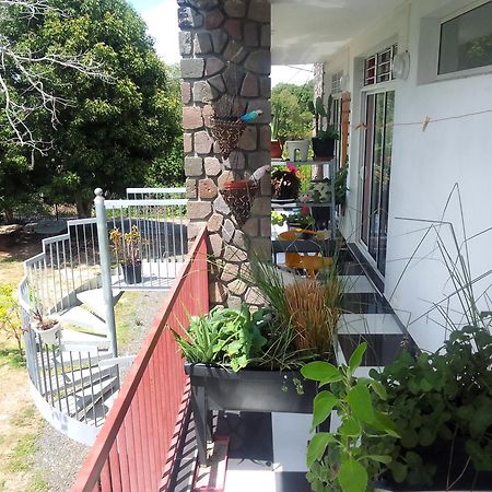 Chambre Avec Cuisine Et Sdb Semi-Privatives Separees Dans Un Ecrin De Verdure Les Abymes Kültér fotó
