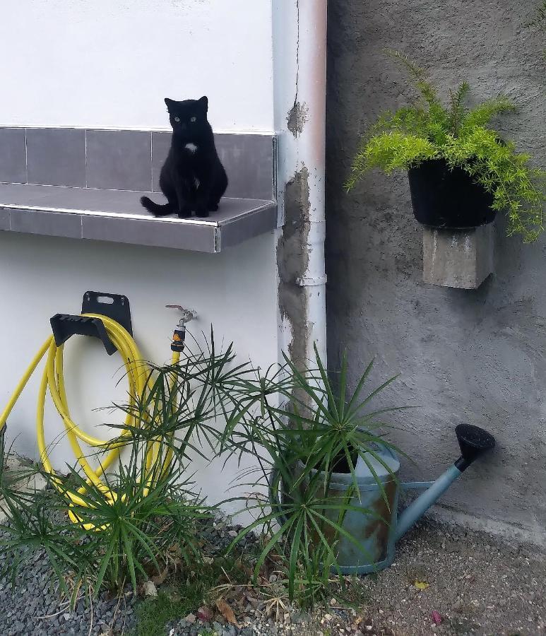 Chambre Avec Cuisine Et Sdb Semi-Privatives Separees Dans Un Ecrin De Verdure Les Abymes Kültér fotó