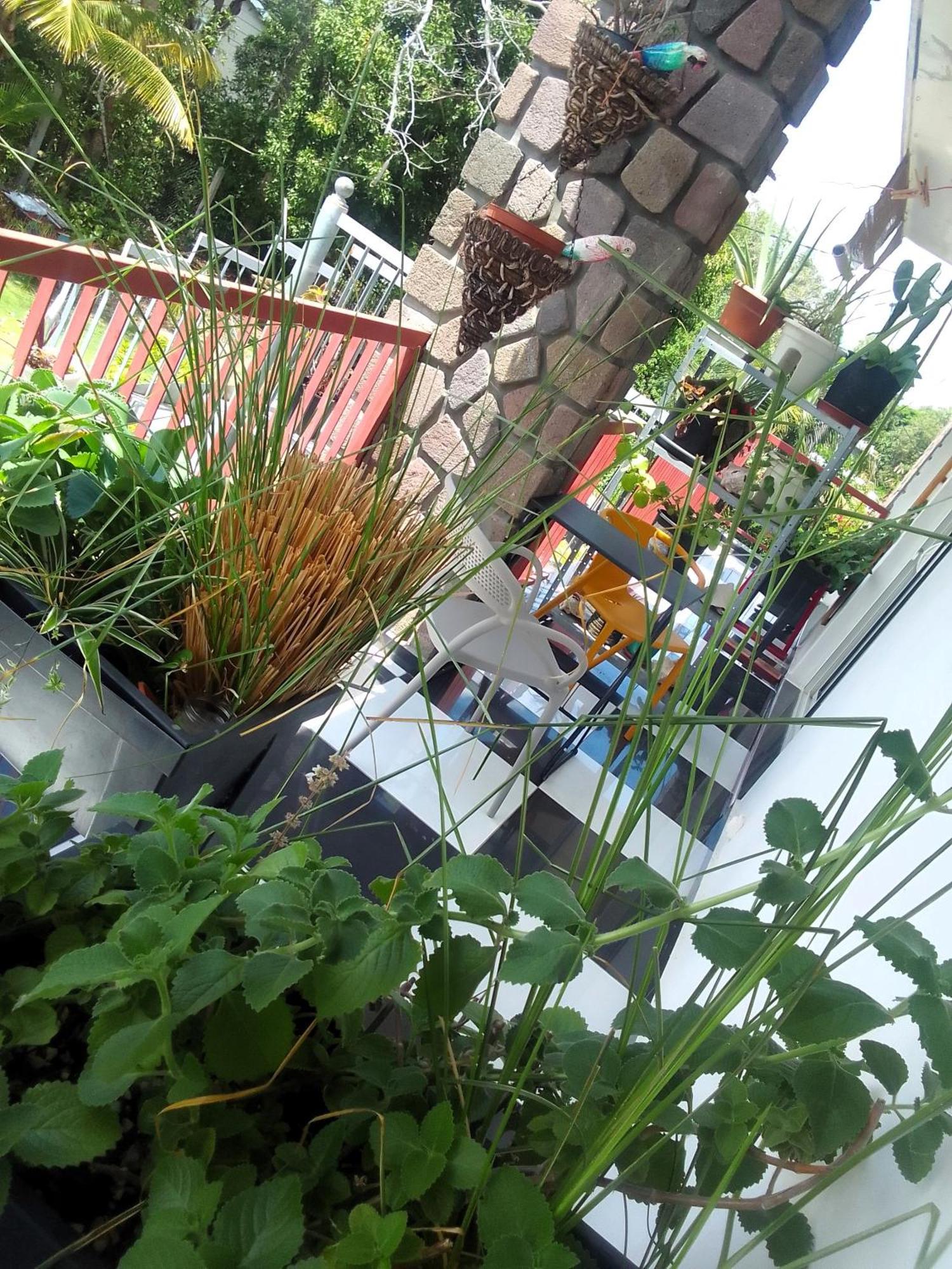 Chambre Avec Cuisine Et Sdb Semi-Privatives Separees Dans Un Ecrin De Verdure Les Abymes Kültér fotó